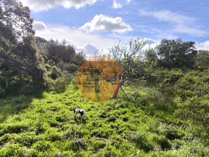 Image No.21-Plot for sale