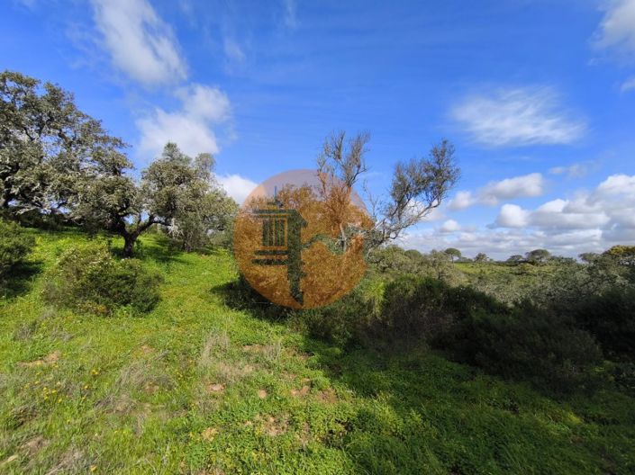 Image No.22-Plot for sale