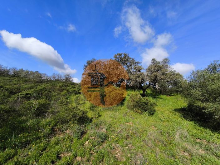 Image No.23-Plot for sale