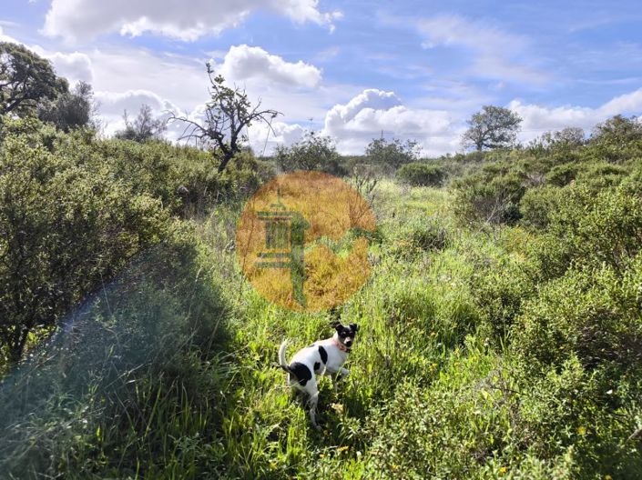 Image No.26-Plot for sale