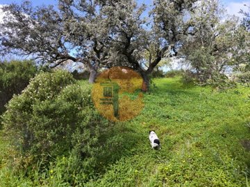 id6841ba01-0000-0500-0000-000018bca8ea