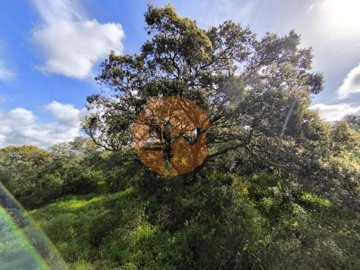 id6841ba01-0000-0500-0000-000018bca8ec