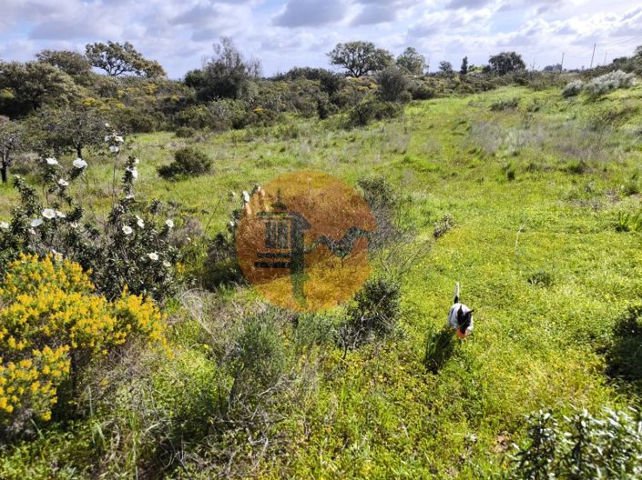 Image No.5-Plot for sale