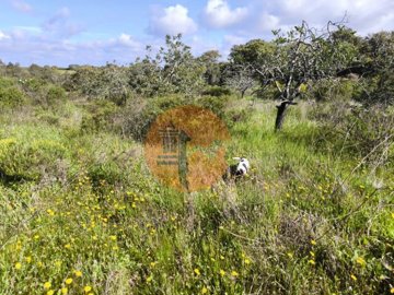 id6841ba01-0000-0500-0000-000018bca8f2