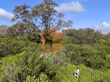 id6841ba01-0000-0500-0000-000018bca8f5