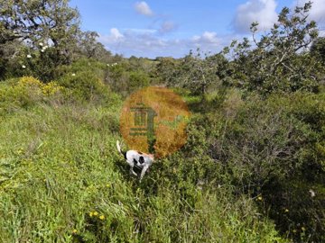 id6841ba01-0000-0500-0000-000018bca8f6