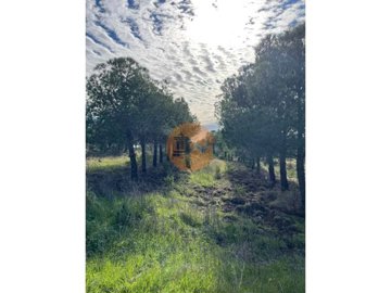 id5c297d01-0000-0500-0000-00001892c5c2