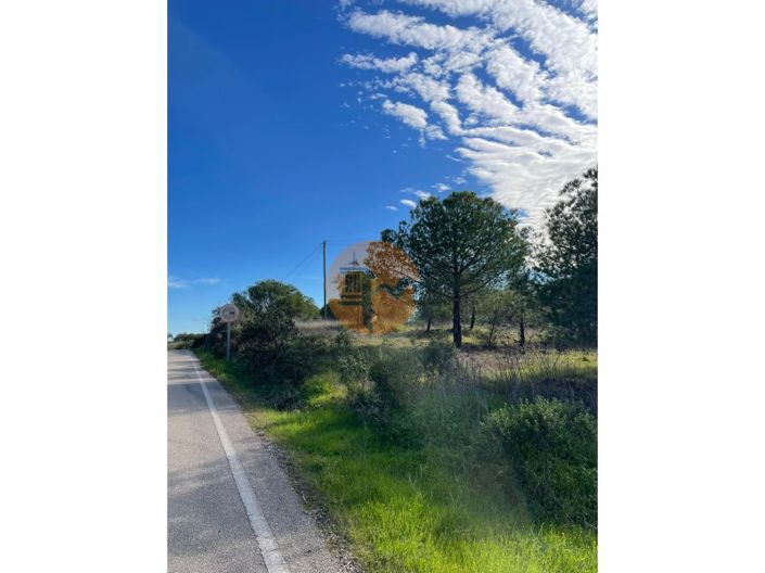 Image No.10-Plot for sale