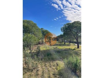 id5c297d01-0000-0500-0000-00001892c5c8