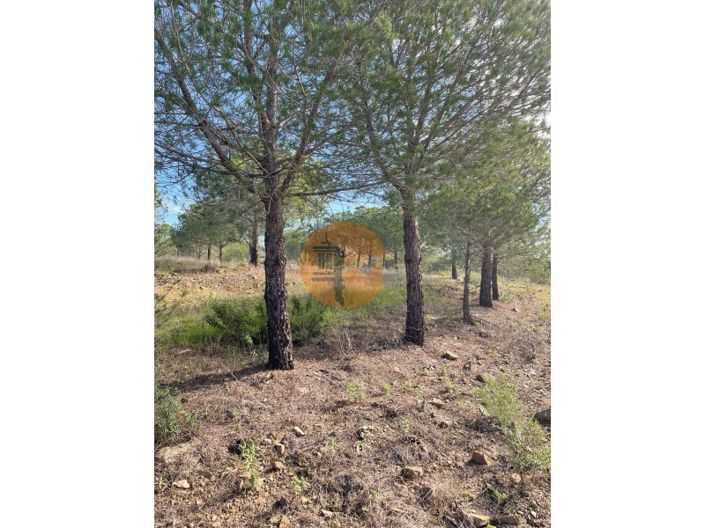 Image No.13-Plot for sale