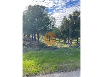 id5c297d01-0000-0500-0000-00001892c5cb