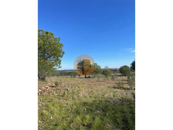 Image No.18-Plot for sale