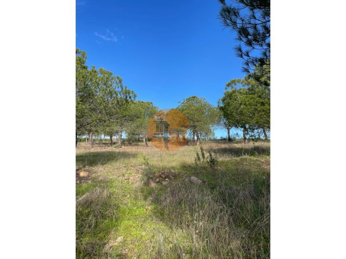 Image No.19-Plot for sale