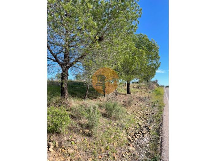 Image No.20-Plot for sale