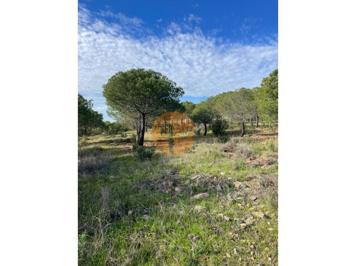 Image No.22-Plot for sale