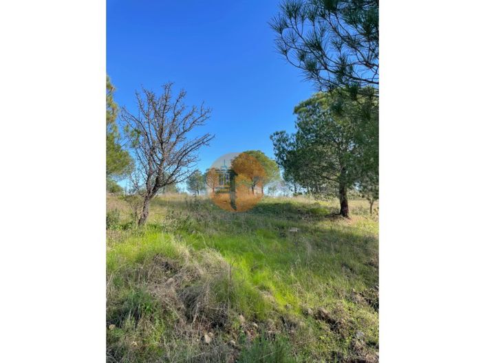 Image No.24-Plot for sale