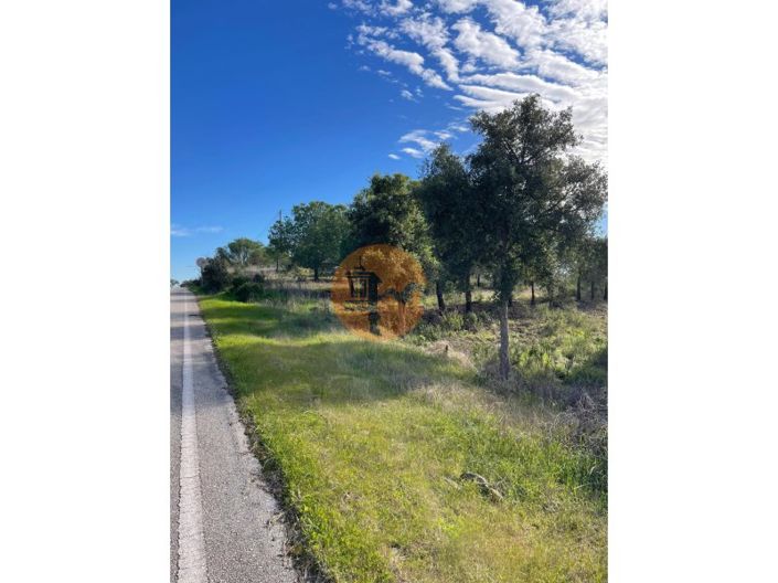 Image No.3-Plot for sale