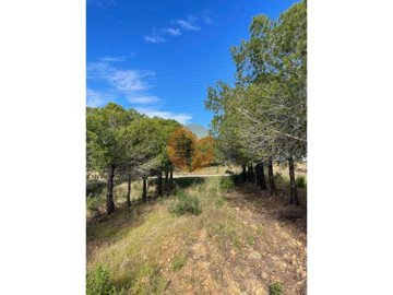 id5c297d01-0000-0500-0000-00001892c5c1