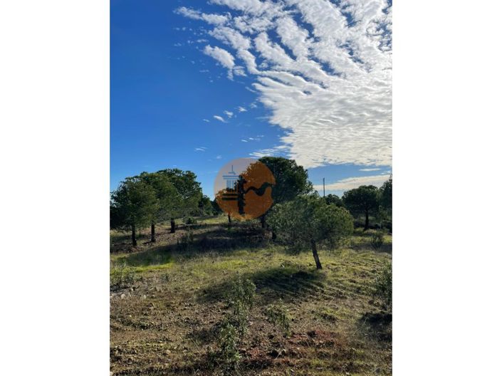 Image No.5-Plot for sale