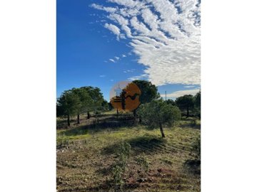 id5c297d01-0000-0500-0000-00001892c5ca