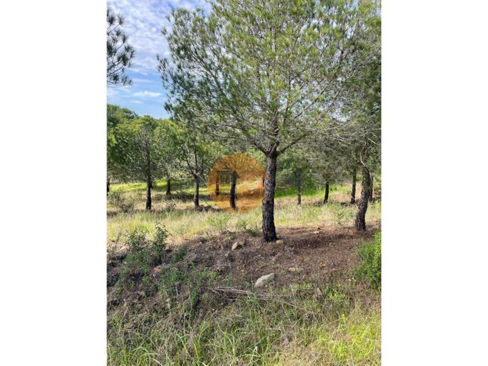 Image No.7-Plot for sale