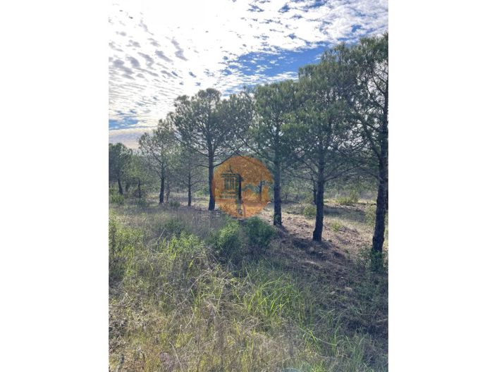 Image No.8-Plot for sale