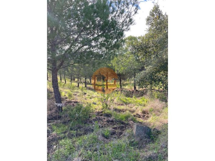 Image No.9-Plot for sale