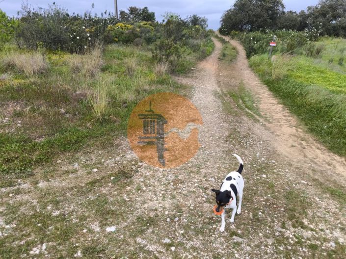 Image No.10-Plot for sale