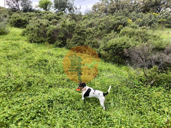 Image No.11-Plot for sale