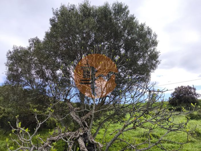 Image No.13-Plot for sale