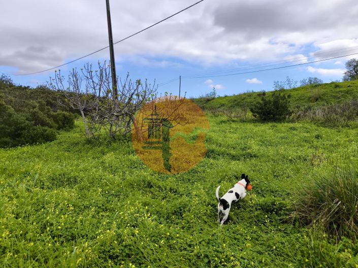 Image No.14-Plot for sale