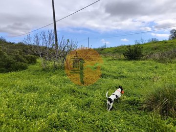 id50e4c101-0000-0500-0000-000018bc9c8d