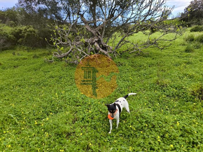 Image No.16-Plot for sale