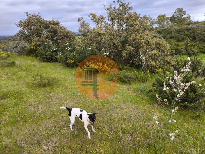 Image No.20-Plot for sale