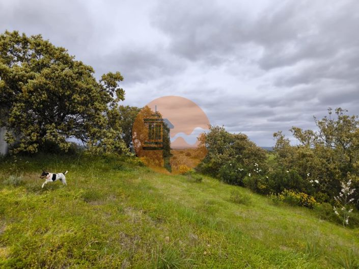 Image No.21-Plot for sale