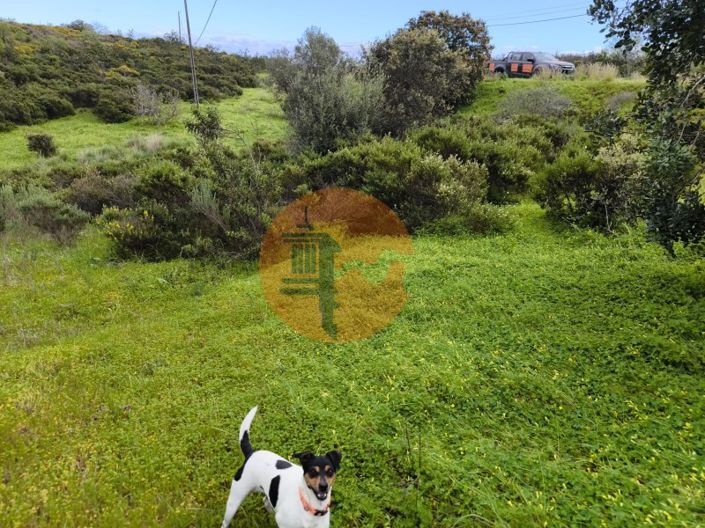 Image No.23-Plot for sale