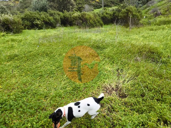 Image No.24-Plot for sale