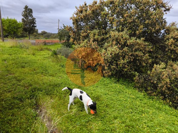 Image No.26-Plot for sale