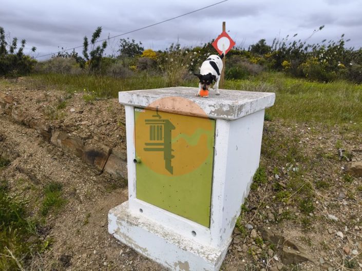 Image No.27-Plot for sale