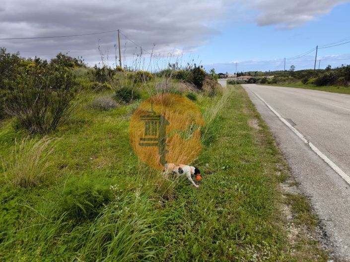 Image No.5-Plot for sale