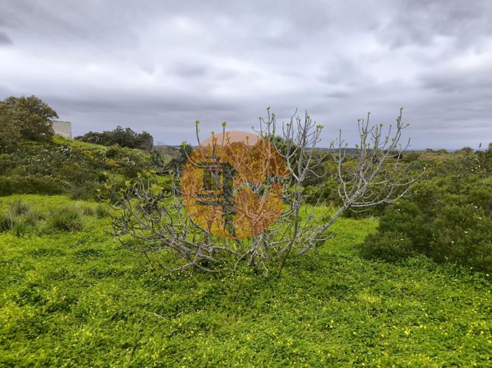 Image No.6-Plot for sale