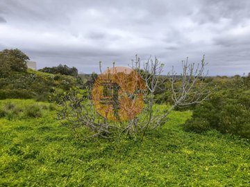 id50e4c101-0000-0500-0000-000018bc9c86