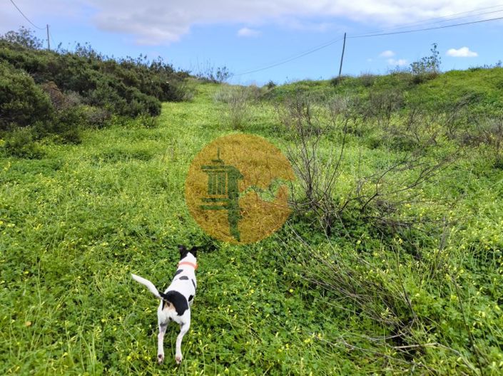 Image No.8-Plot for sale