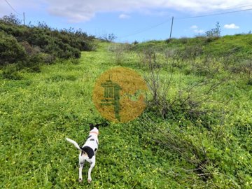 id50e4c101-0000-0500-0000-000018bc9c88