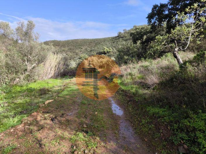 Image No.12-Plot for sale