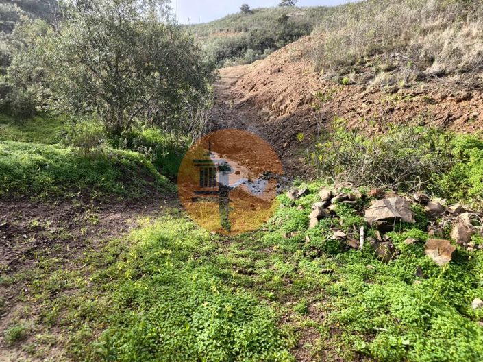 Image No.14-Plot for sale