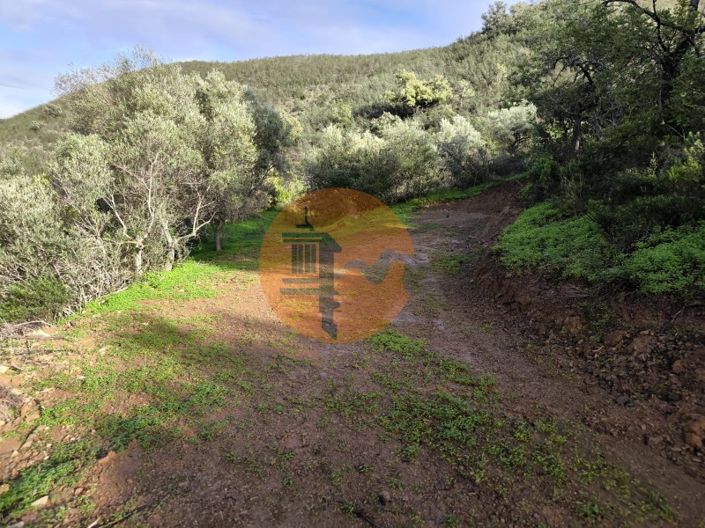 Image No.19-Plot for sale