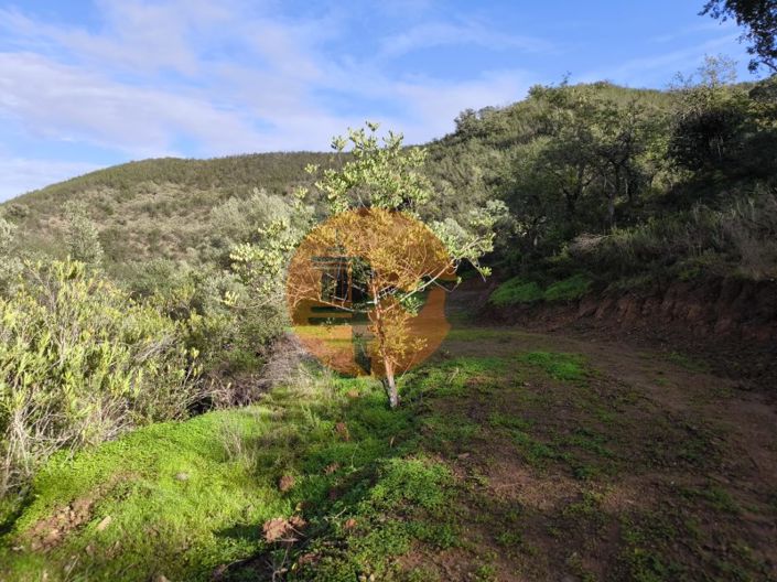 Image No.21-Plot for sale