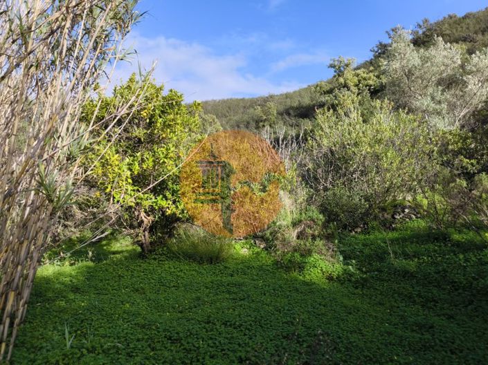 Image No.23-Plot for sale