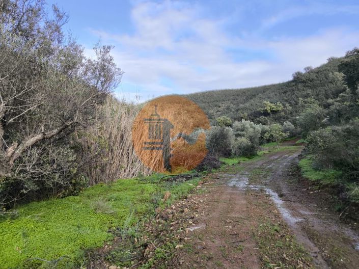 Image No.24-Plot for sale